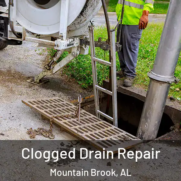 Clogged Drain Repair Mountain Brook, AL