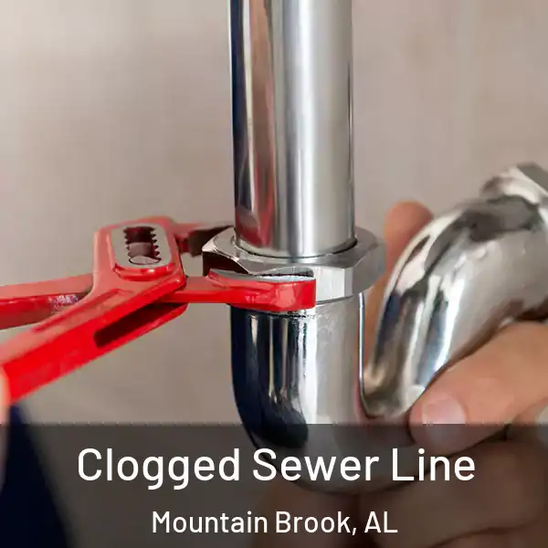  Clogged Sewer Line Mountain Brook, AL