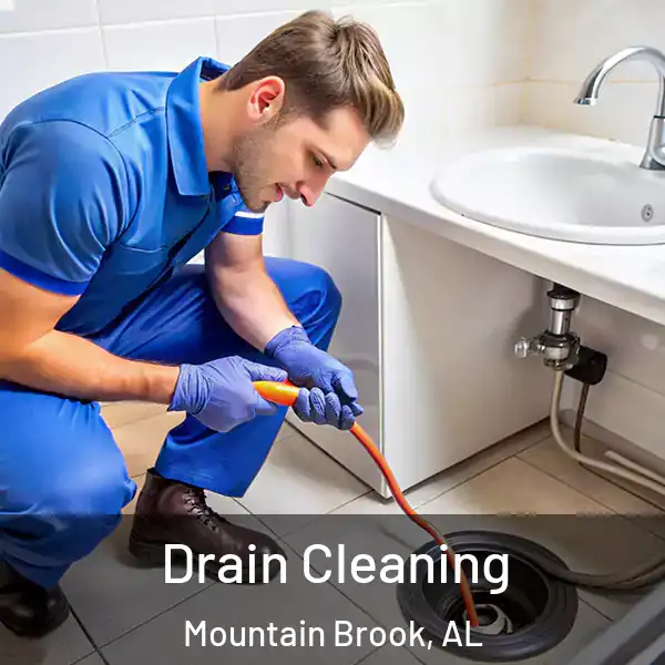  Drain Cleaning Mountain Brook, AL