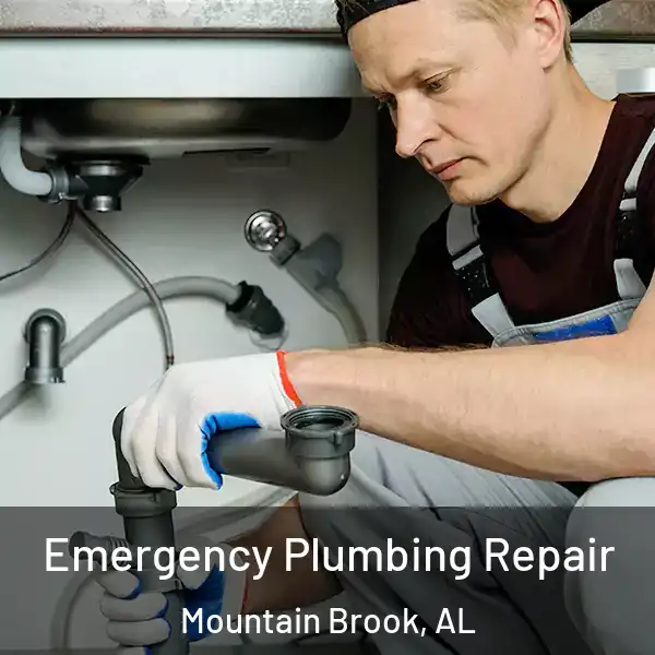  Emergency Plumbing Repair Mountain Brook, AL