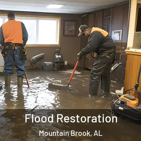  Flood Restoration Mountain Brook, AL