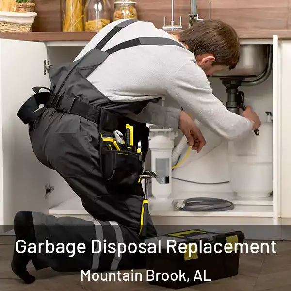  Garbage Disposal Replacement Mountain Brook, AL