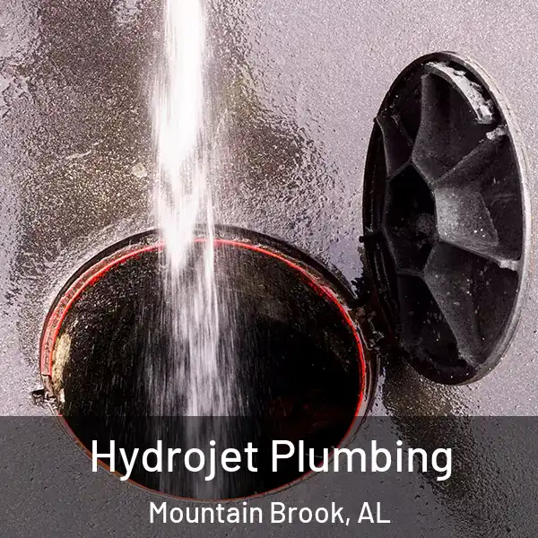  Hydrojet Plumbing Mountain Brook, AL