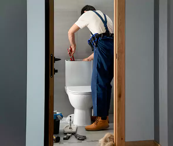 Professional Plumbers for Toilet Bowl Replacement in Mountain Brook, AL: Schedule Affordable Toilet Replacement Services With Us