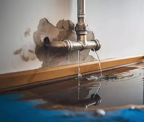 Professional Water Damage Restoration Experts in Mountain Brook, AL — Fast, Reliable & Certified