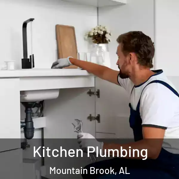  Kitchen Plumbing Mountain Brook, AL