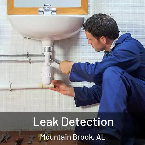  Leak Detection Mountain Brook, AL