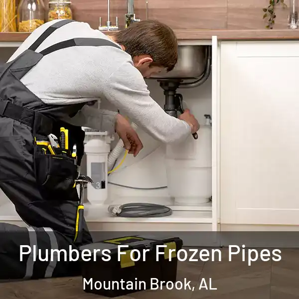  Plumbers For Frozen Pipes Mountain Brook, AL