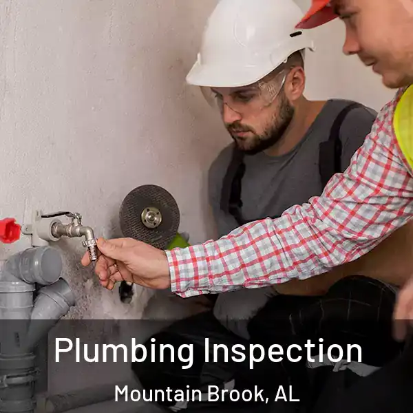  Plumbing Inspection Mountain Brook, AL