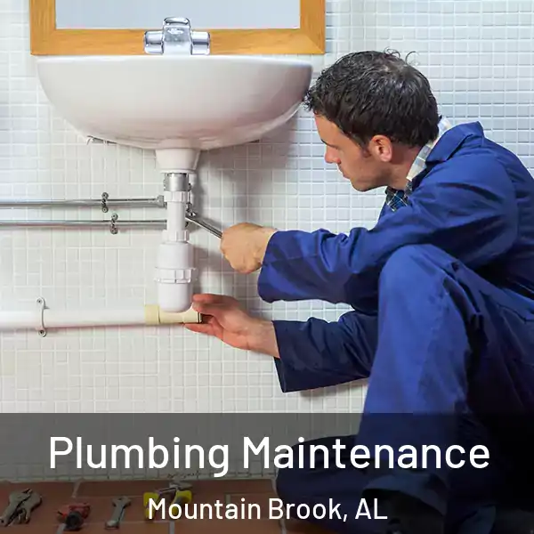  Plumbing Maintenance Mountain Brook, AL