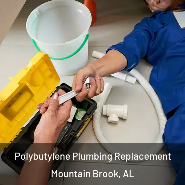  Polybutylene Plumbing Replacement Mountain Brook, AL