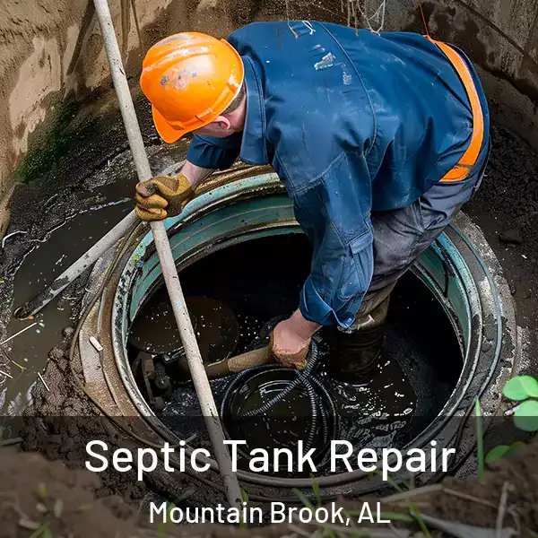  Septic Tank Repair Mountain Brook, AL