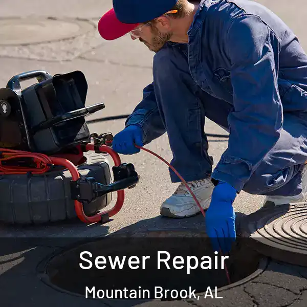  Sewer Repair Mountain Brook, AL