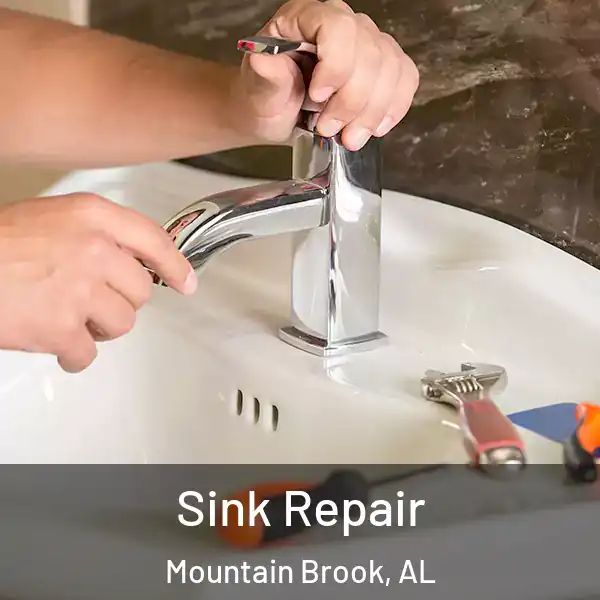  Sink Repair Mountain Brook, AL