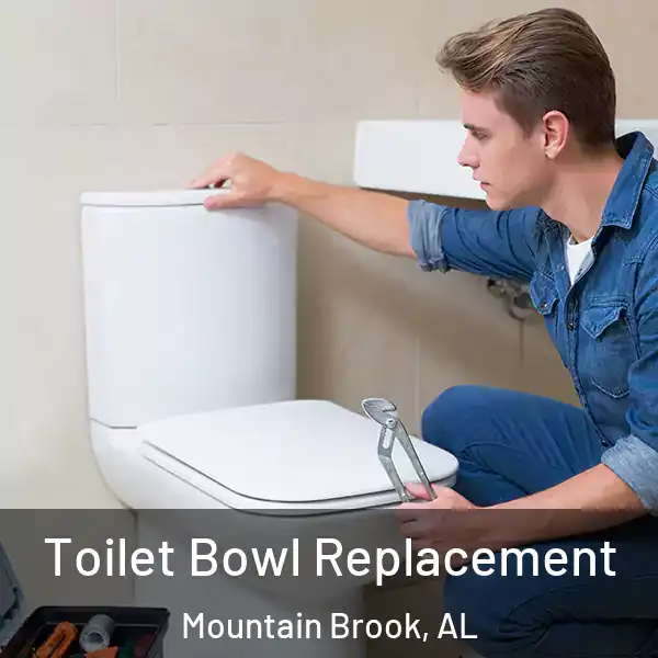  Toilet Bowl Replacement Mountain Brook, AL