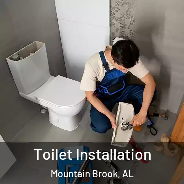  Toilet Installation Mountain Brook, AL