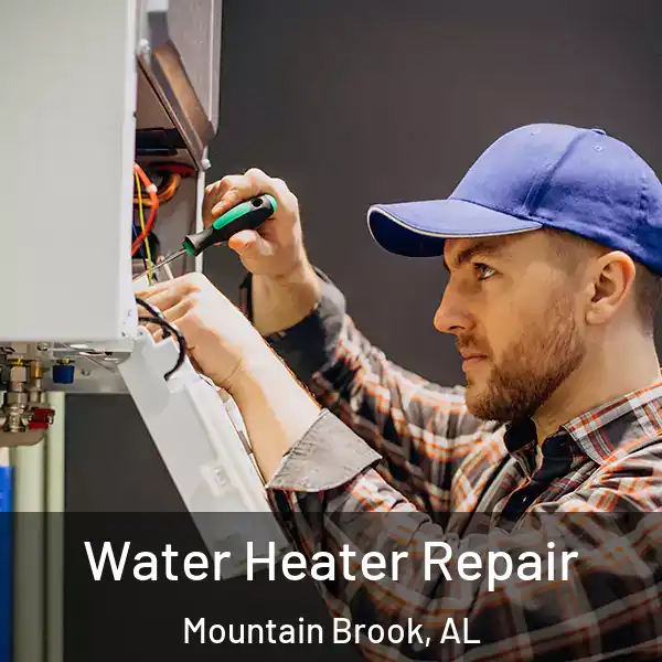  Water Heater Repair Mountain Brook, AL