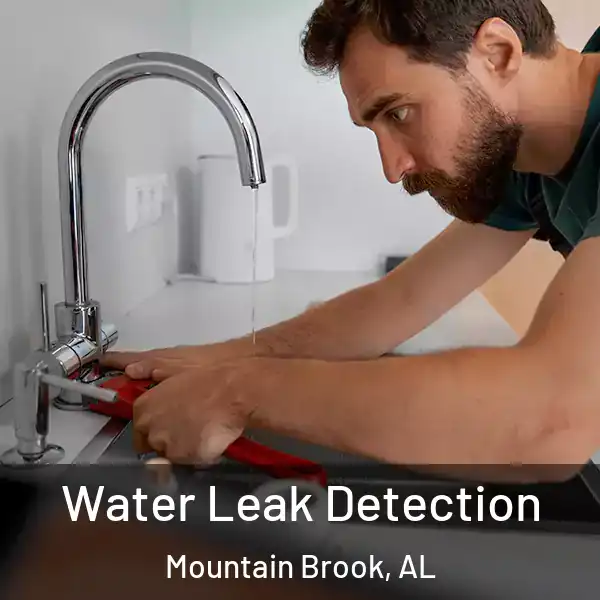 Water Leak Detection Mountain Brook, AL