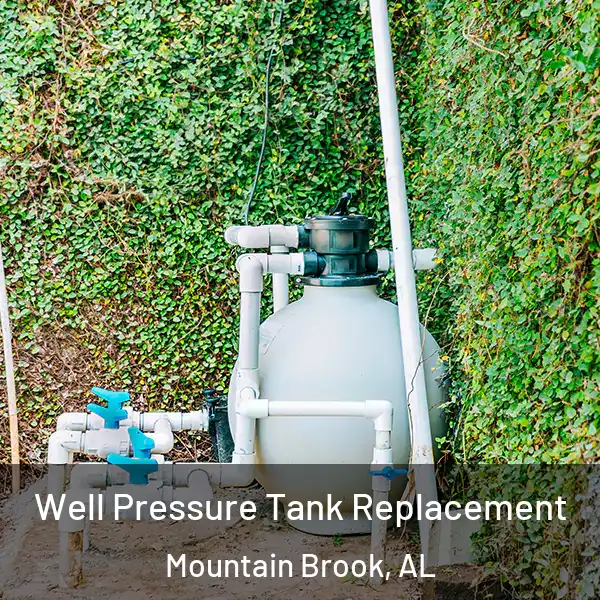  Well Pressure Tank Replacement Mountain Brook, AL