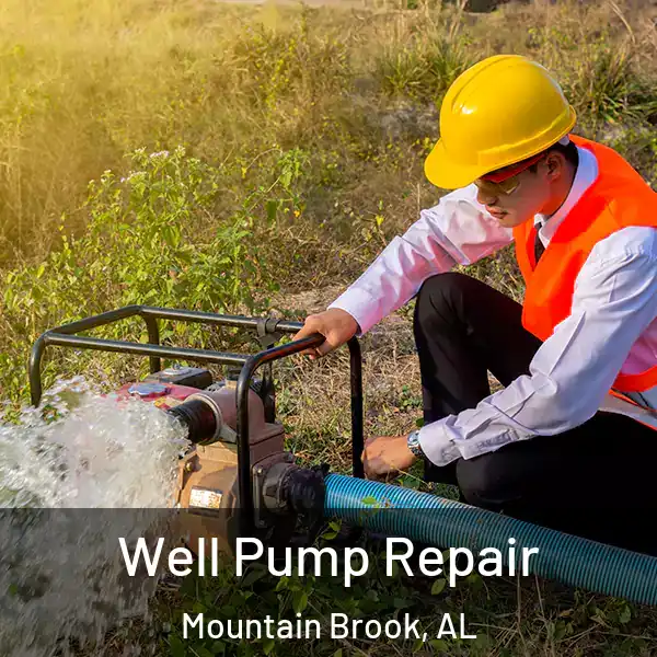  Well Pump Repair Mountain Brook, AL